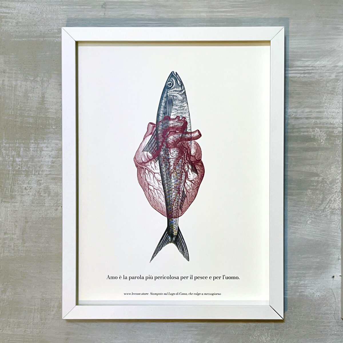 stampa "Amo"_fine art