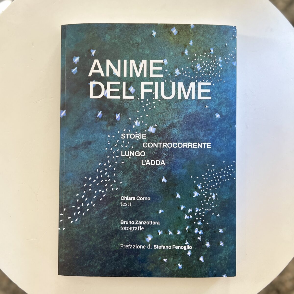 Anime del Fiume